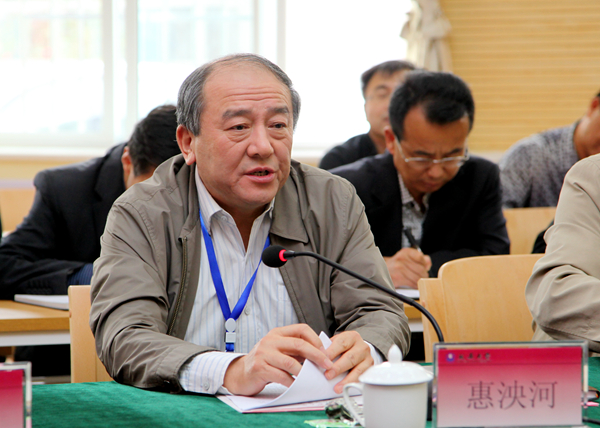 专家组组长惠泱河发言