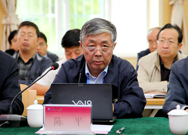 专家组专家陈平教授发言