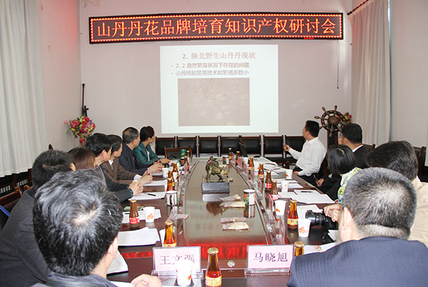 山丹丹花品牌培育知识产权研讨会